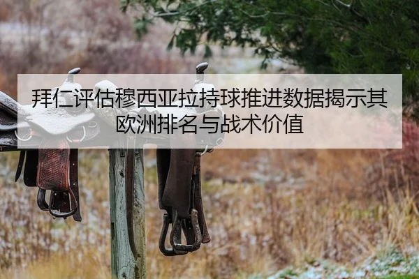 拜仁评估穆西亚拉持球推进数据揭示其欧洲排名与战术价值